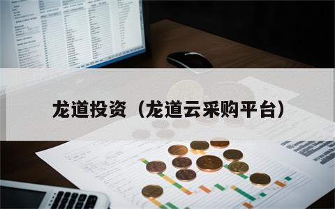 龙道投资（龙道云采购平台）