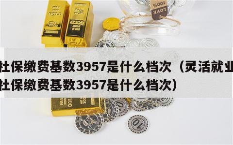 社保缴费基数3957是什么档次（灵活就业社保缴费基数3957是什么档次）
