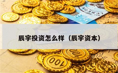 辰宇投资怎么样（辰宇资本）