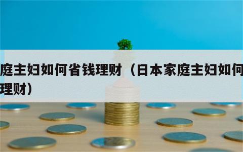 家庭主妇如何省钱理财（日本家庭主妇如何省钱理财）