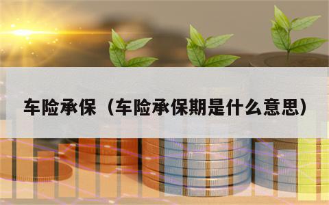 车险承保（车险承保期是什么意思）