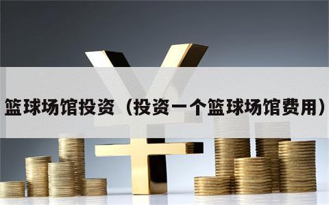 篮球场馆投资（投资一个篮球场馆费用）