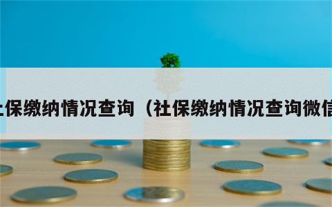 社保缴纳情况查询（社保缴纳情况查询微信）