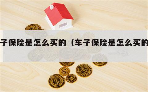 车子保险是怎么买的（车子保险是怎么买的呢）