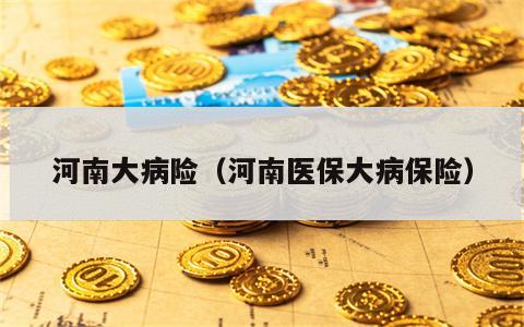 河南大病险（河南医保大病保险）