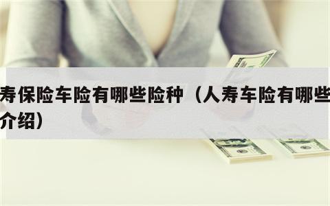 人寿保险车险有哪些险种（人寿车险有哪些险种介绍）