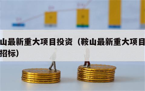 鞍山最新重大项目投资（鞍山最新重大项目投资招标）