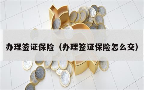 办理签证保险（办理签证保险怎么交）