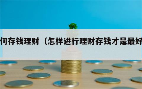 如何存钱理财（怎样进行理财存钱才是最好的?）