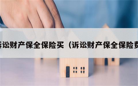 诉讼财产保全保险买（诉讼财产保全保险费）