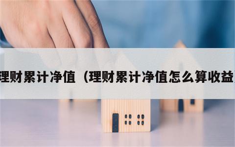 理财累计净值（理财累计净值怎么算收益）
