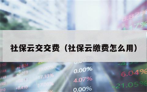 社保云交交费（社保云缴费怎么用）