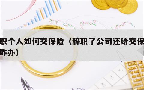 辞职个人如何交保险（辞职了公司还给交保险该咋办）