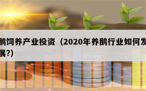 鹅饲养产业投资（2020年养鹅行业如何发展?）