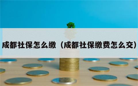 成都社保怎么缴（成都社保缴费怎么交）