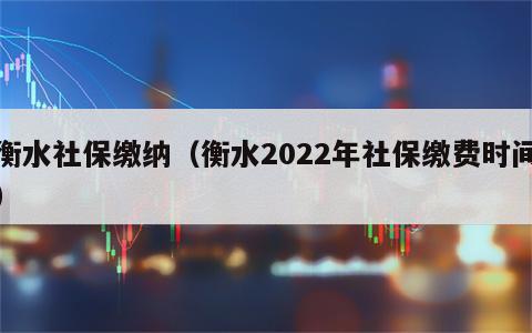 衡水社保缴纳（衡水2022年社保缴费时间）