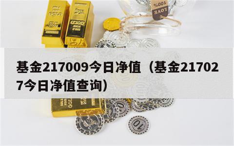 基金217009今日净值（基金217027今日净值查询）