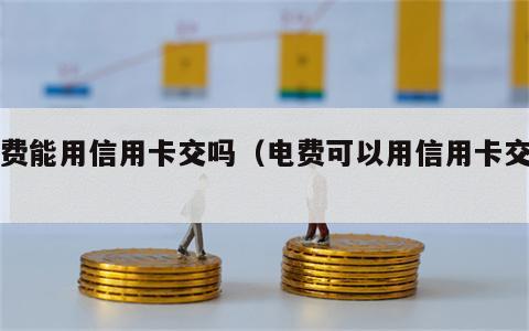 电费能用信用卡交吗（电费可以用信用卡交吗）