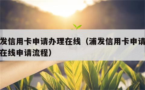 浦发信用卡申请办理在线（浦发信用卡申请办理在线申请流程）