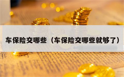 车保险交哪些（车保险交哪些就够了）