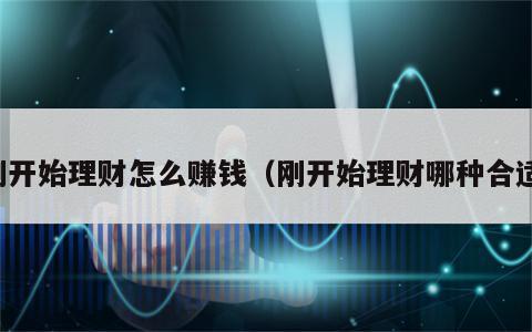 刚开始理财怎么赚钱（刚开始理财哪种合适）