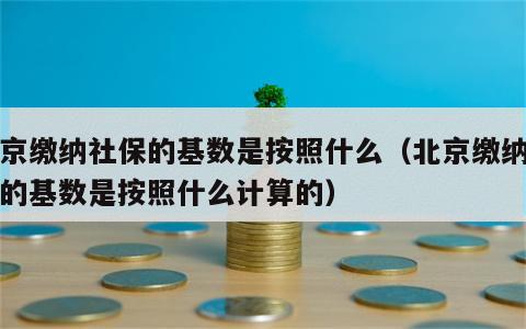 北京缴纳社保的基数是按照什么（北京缴纳社保的基数是按照什么计算的）