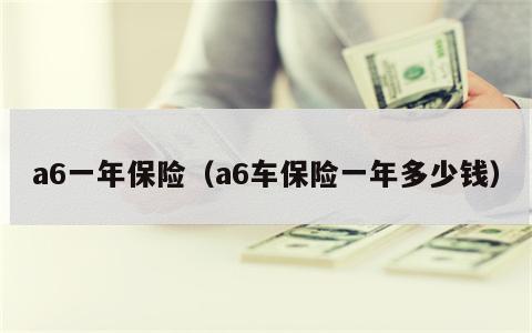a6一年保险（a6车保险一年多少钱）