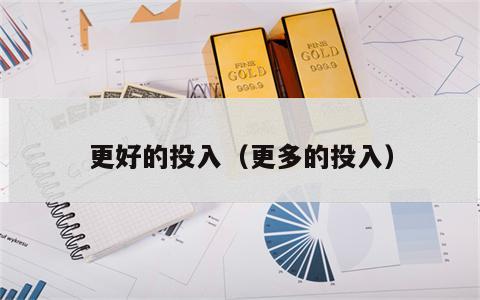更好的投入（更多的投入）