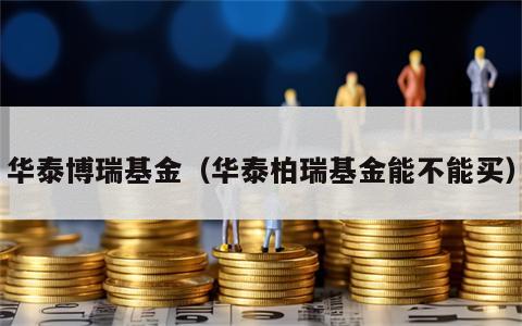 华泰博瑞基金（华泰柏瑞基金能不能买）