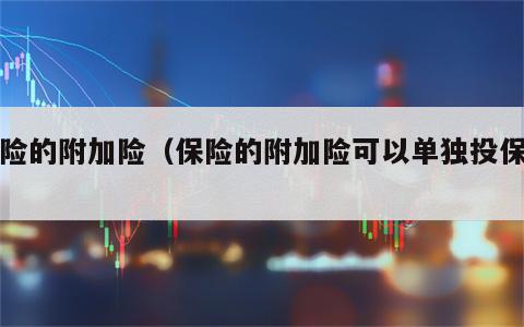 保险的附加险（保险的附加险可以单独投保吗）
