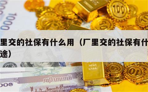 厂里交的社保有什么用（厂里交的社保有什么用途）