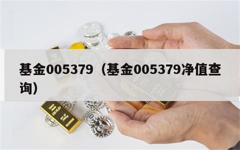 基金005379（基金005379净值查询）