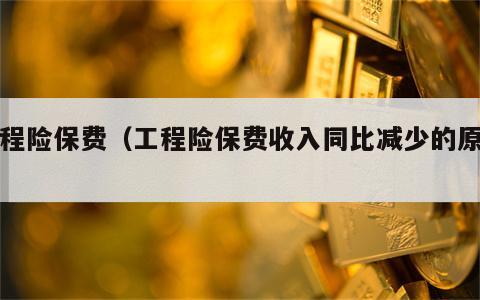 工程险保费（工程险保费收入同比减少的原因）