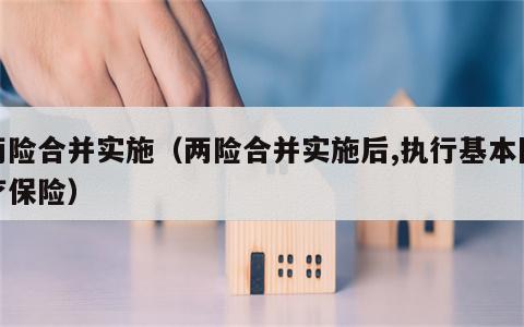 两险合并实施（两险合并实施后,执行基本医疗保险）