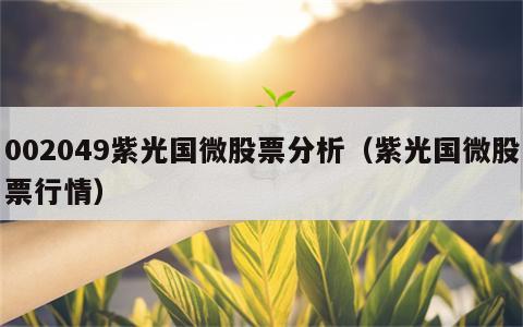 002049紫光国微股票分析（紫光国微股票行情）