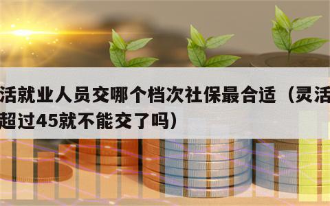 灵活就业人员交哪个档次社保最合适（灵活就业超过45就不能交了吗）