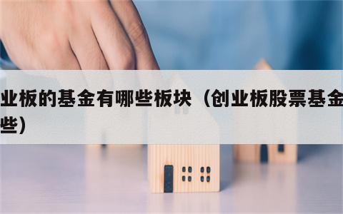 创业板的基金有哪些板块（创业板股票基金有哪些）