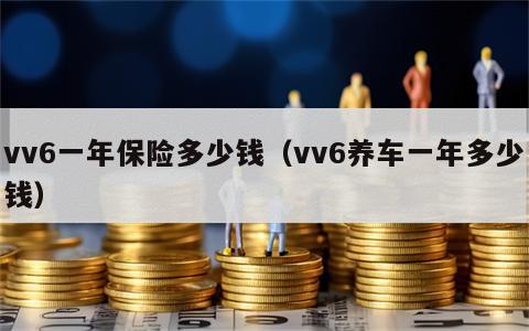 vv6一年保险多少钱（vv6养车一年多少钱）