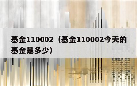 基金110002（基金110002今天的基金是多少）