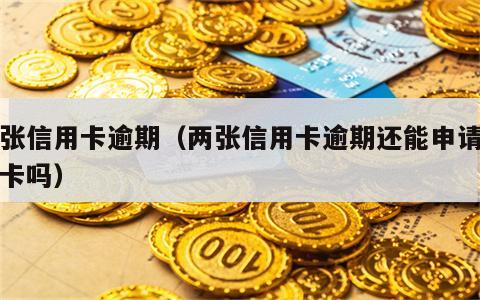 两张信用卡逾期（两张信用卡逾期还能申请信用卡吗）
