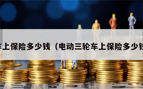 车上保险多少钱（电动三轮车上保险多少钱）