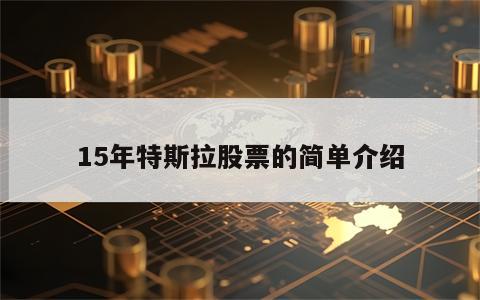 15年特斯拉股票的简单介绍