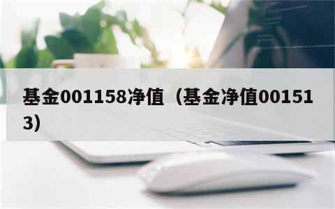 基金001158净值（基金净值001513）