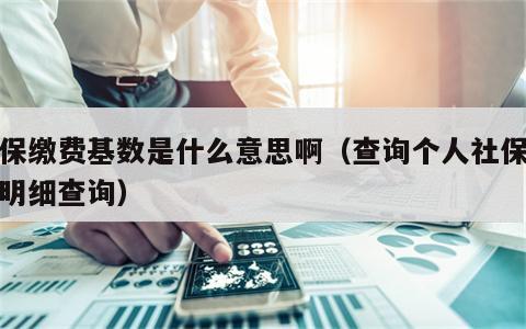 社保缴费基数是什么意思啊（查询个人社保缴费明细查询）