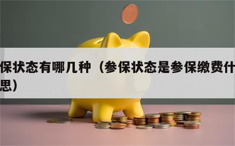 参保状态有哪几种（参保状态是参保缴费什么意思）