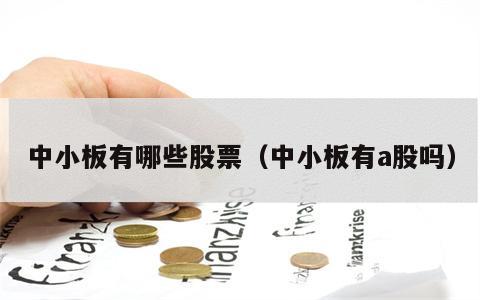 中小板有哪些股票（中小板有a股吗）