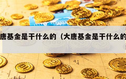 大唐基金是干什么的（大唐基金是干什么的啊）