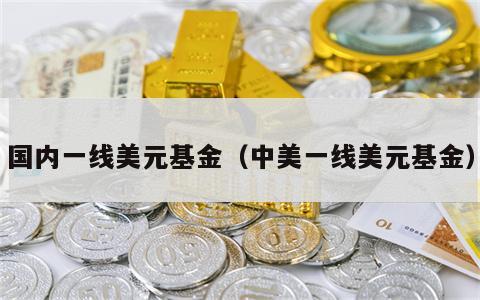 国内一线美元基金（中美一线美元基金）