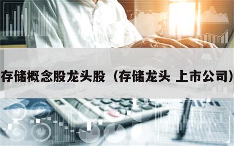 存储概念股龙头股（存储龙头 上市公司）