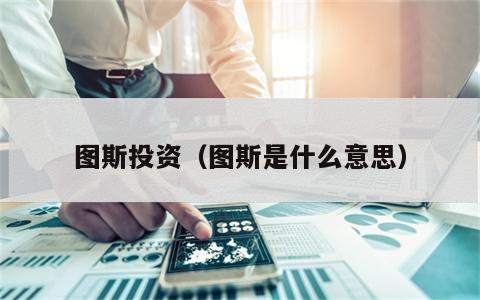 图斯投资（图斯是什么意思）